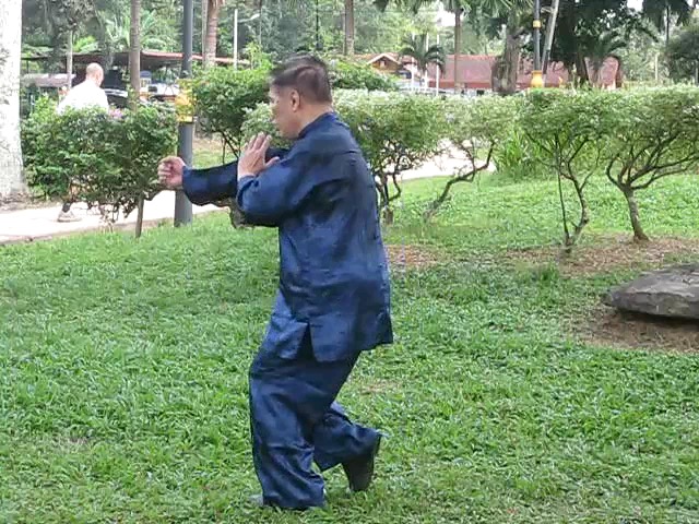 Wu Yu Xiang Style Taijiquan